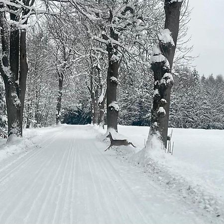 Žďár nad Sázavou Garsonka V Srdci Vysociny 아파트 외부 사진